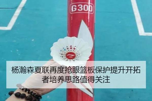 杨瀚森夏联再度抢眼篮板保护提升开拓者培养思路值得关注（yabo）