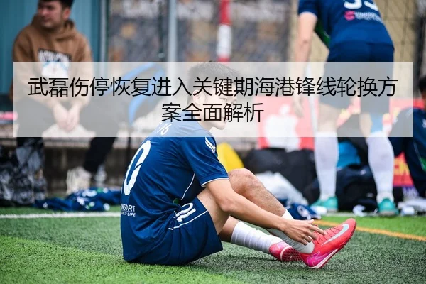 武磊伤停恢复进入关键期海港锋线轮换方案全面解析（yabo）