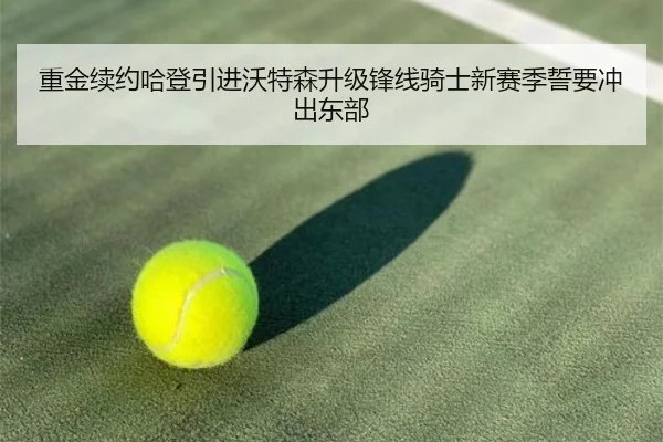 重金续约哈登引进沃特森升级锋线骑士新赛季誓要冲出东部 - yabo
